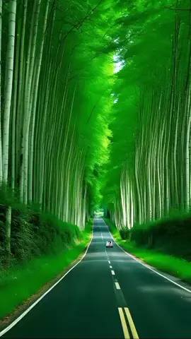 Beautiful scenery#cạndepthoenmhien 