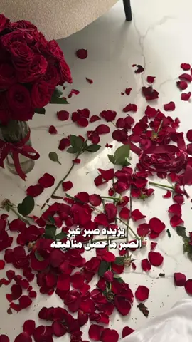 ✨🤍🤍#اكسبلور #تصميم_فيديوهات🎶🎤🎬 #fypage #like #ترند 
