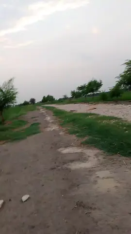 #fyppppppppppppppppppppppp #foryou #foryoupage #foryoupage #fypage 