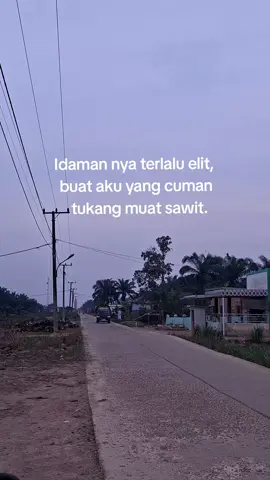 Bagian 6| #sawitsumatraindonesia🌴🌴🌴🇮🇩🇮🇩  #sawitontiktok #fyp #truksawitpulaurimau #trucksawitindonesia🇮🇩 