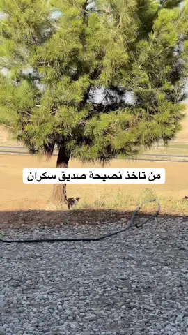 #🥺🥺🥺💔💔💔 #مشاهير_تيك_توك #الشعب_الصيني_ماله_حل #الشعب_الصيني_ماله_حل😂😂 #شعب_الصيني_ماله_حل😂😂 