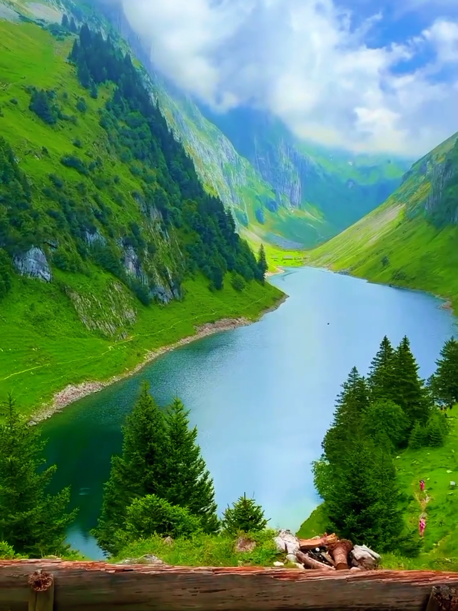 Beautiful Nature 😍🏞️ #quran #nature #beauty #foryou #fyp 