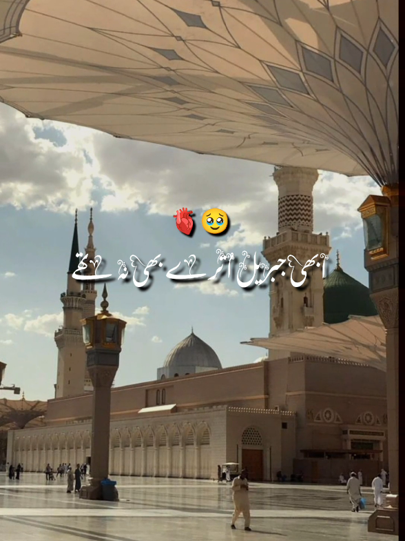 Muhammad Mustafa tashrif La Aaye 💚🫀 | #12_rabi_ul_awal_status #jummahmubarak #milad2025 #foryoupage #12_rabi_ul_awal_2025 #1millionviews #rehman_writes56 #inshallah💫 #new #12rabiulawaldate #12_rabi_ul_awal_mubarak 