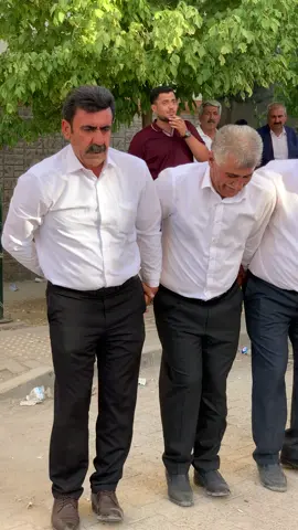 Halayın Mucitleri💥🔱#şırnaklı73 #düğün #cizre #silopi #halaybaşı 