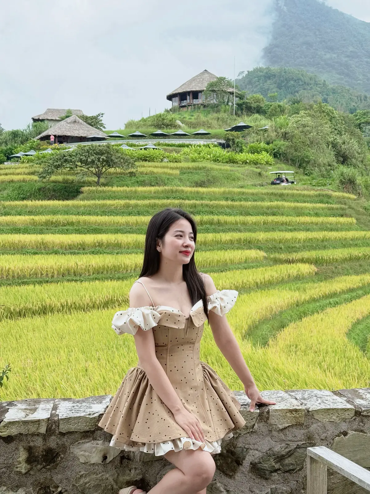 Người ta mơ nhà mơ cửa, còn mình mơ núi mơ sông 🌾🌾