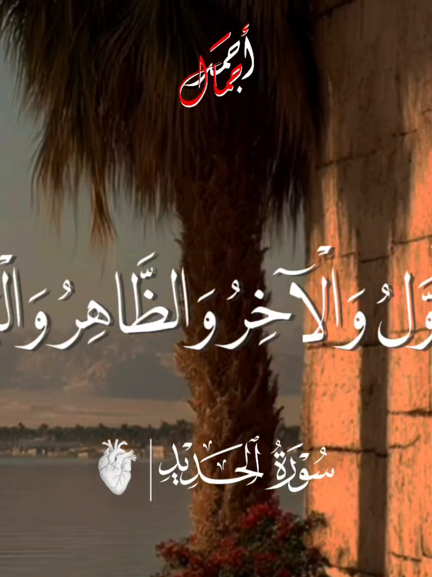 هو الأول والآخر والظاهر والباطن🫀📻|| من إبداعات المنشاوي🌿🎙️. . #قرآن #quran_alkarim #قران #quran #المنشاوي 