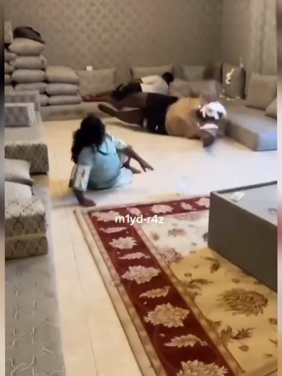 crazy arab pranks 😂#viral #foryou #prank #arab #fyp 