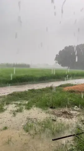 Friend Repost My video ❤️ 