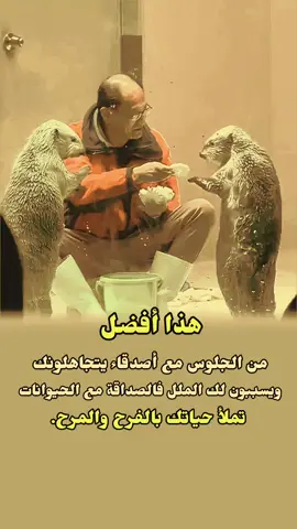 هذا أفضل من الجلوس مع الأصدقاء.....! #اقتباسات #خواطر  #عبارات_فخمه_قويه #اكسبلورexplore  #creatorsearchinsights 