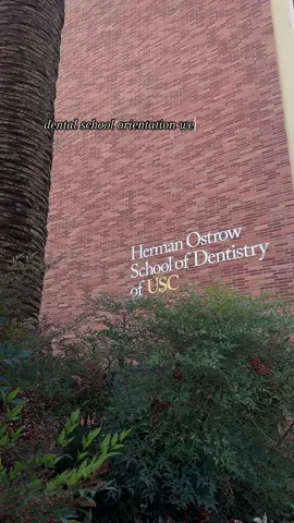 dental school orientation week @ USC 💛❤️✌️ had the best time meeting everyone & can’t wait for the journey ahead! #dentaltok #uscdental #dental #dentalschool #orientationweek #orientation #dentistry 