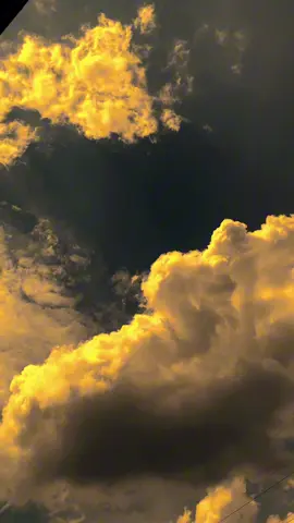 لست بحاجة إلى أن أقول اسمه، فالكون يعلم أنني أحبه حقًا 