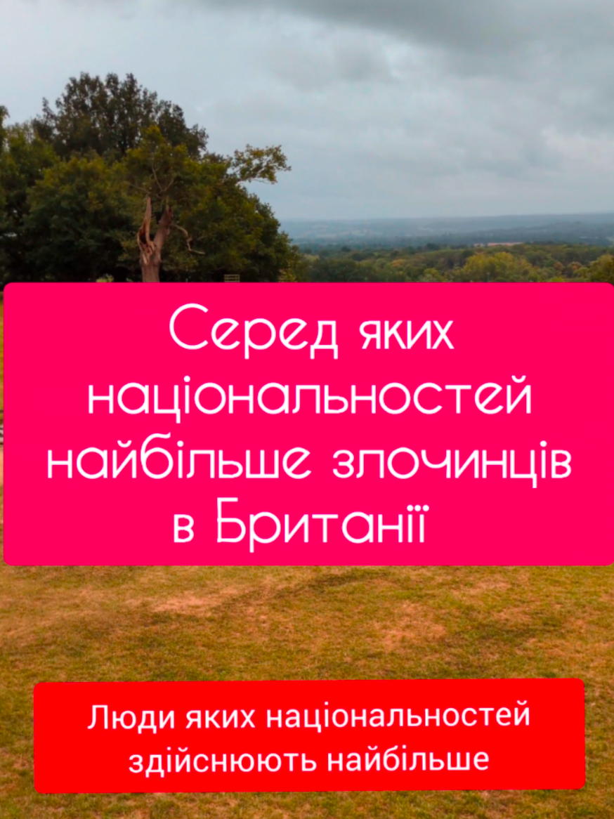 Хто насправді здійснює більшість злочинів в Британії? 