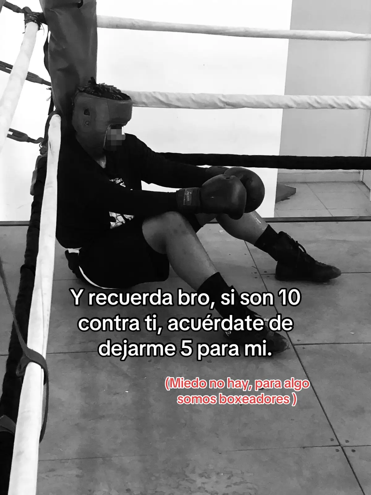 #boxeador #boxeo #boxing🥊 #fyp 