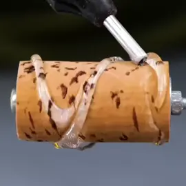 (بوراق) #کوردستان_بغداد_هەولێر_کەلار_کەرکوک_دهۆک_هەڵەبجە#سلێمانی_زاخۆ_بغداد_بعقوبة#کربلاء_نجف_البصرة#ئەوروپا_بەریتانیا_ئەڵمانیا_دانیمارک_کەنەدا_غزە#فلسطین_اسرائیل_امریکا_حەدیسوبەسەرهاتیکاریگەر