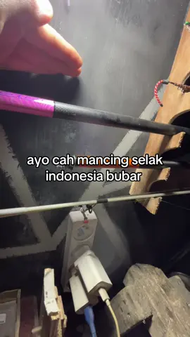 jasa kolong wd buka ditanggal 5 bess,yang mau antri bisa dm dulu aja sementara tak nonton demo #fyp #mancing #masukberanda #foryou #4u 