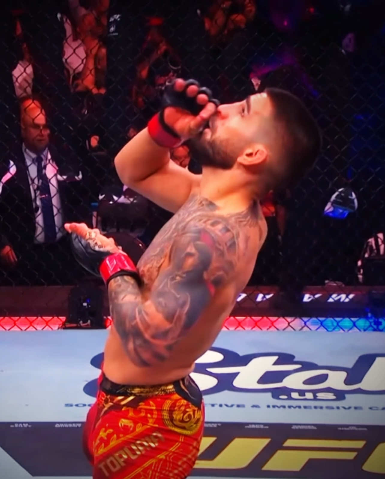 The art of “El Matador” || #UFC #mma #iliatopuria #elmatador #fyp 