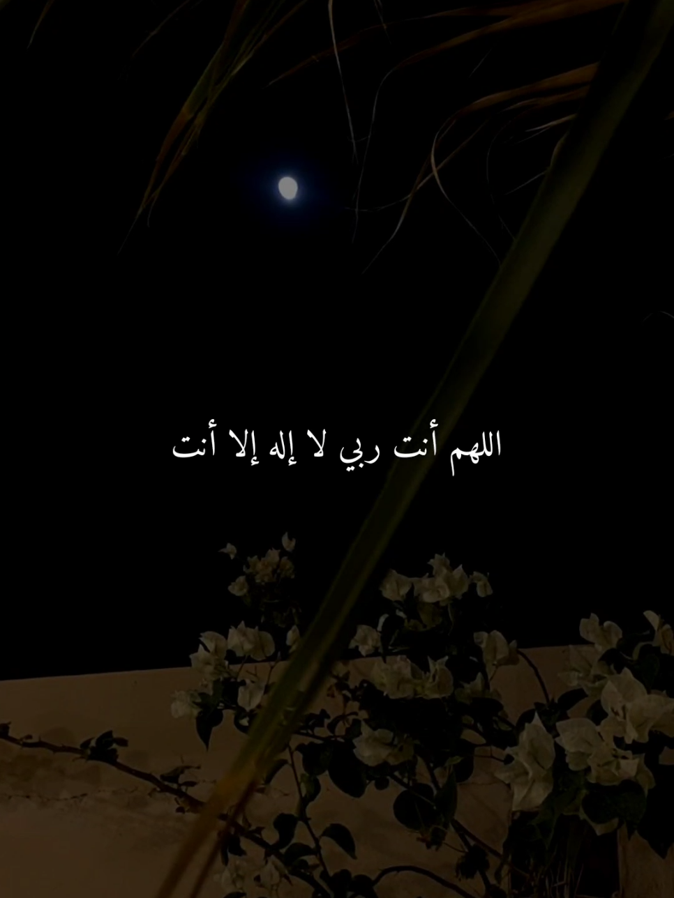 اللهم انت ربي لا إله إلا أنت..🤎 #اللهم_امين #ادعيه #ادعية_اسلامية_تريح_القلب #ادعيه_تريح_القلب #اكسبلور 