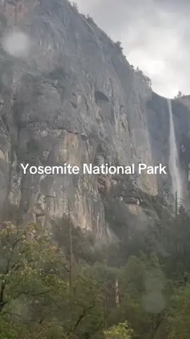 @Yosemite National Park 🌲 