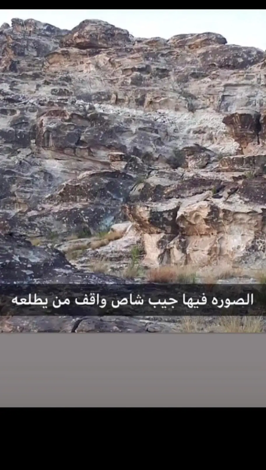 #مشاهير_تيك_توك #explorepage✨ 