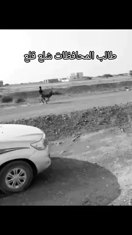 دوسة من ال 60  🚀 مع هايلوكس 25 #خيالةعراقية🇮🇶  #فروسية  #راعي_المطايا 