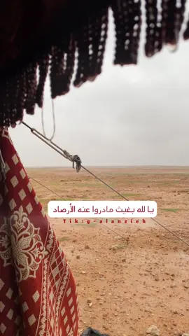 #يالله_بغيث_مادروا_عنه_ الأرصاد _ تصويري🤳تصميمي_ اللهم اميين🎬🎤🌧️ 