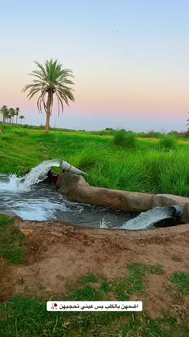 شنو بيك مميز ؟؟؟ شاركوا #المصور_غزوان_النمراوي #ستوريات #تصويري_احترافي_الاجواء👌🏻🕊😴 #fyp #تصويري 