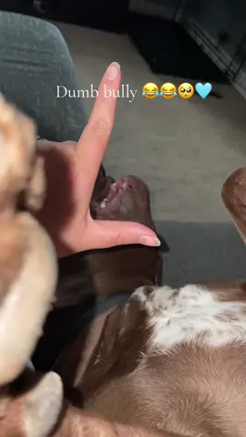 😂😂#fyp #fypage #foryoupage #foryou #foryourpage 