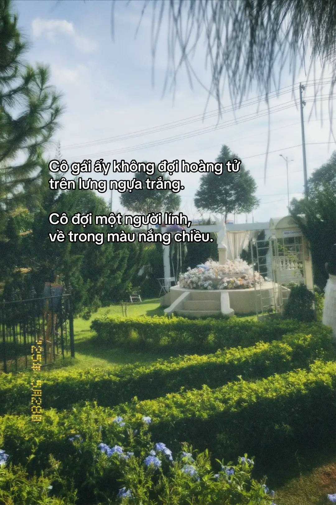 #ta009_006 #2025_2027 #doichubodoive #hauphuongvungchac 