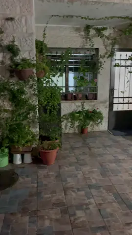 والغياب في عُرفنا مع الأهلي لا يرتبط بالأيام .. بل بالفراغ .. الغياب معه يبدأ من أول ساعة بعد آخر لقاء ، ثم يزداد الفراغ يومًا بعد آخر#ام_عمر🌹🌹 #حديقتي_الجميلة 