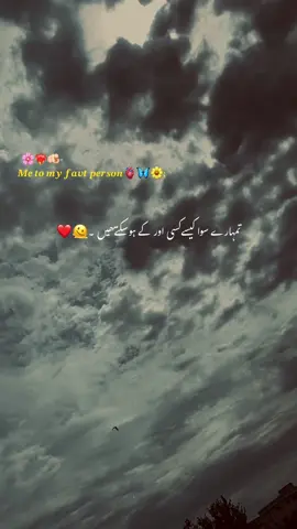 𝑴𝒆 𝒕𝒐 𝒎𝒚 𝒇𝒂𝒗𝒕 𝒑𝒆𝒓𝒔𝒐𝒏🫀🫠 #hehe-afridy#viral #video #grow #account #poetry #status #aesthetic #unfreezemyacount #1millionaudition 