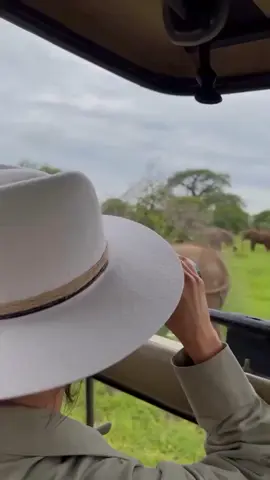 At Curious Safaris, we don’t sell tour packages — we craft unforgettable experiences that stay with you long after the journey ends. #curioussafaris #travelcompanykenya #HotAirBalloonwithombima #matatuculturewithombima #travelwithombima 