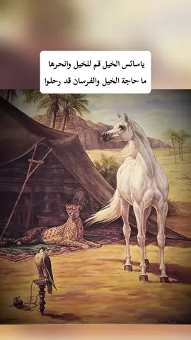 #الخيل #الفرسان #التاريخ_الإسلامي #تاريخنا_العظيم⚡️📚 #foryoupage 