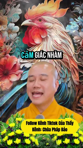 Dậu à, tháng 7 cô hồn này con nghe nha #tuoidau #tuvi #thaythichphaphoa #vongtaytramhuong #vongtaytramhuong108hat 