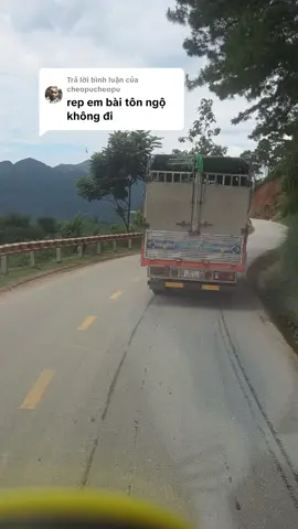 Trả lời @cheopucheopu ngộ không vip 🤣🤣🤣 #xuhuong #basuri #07902 