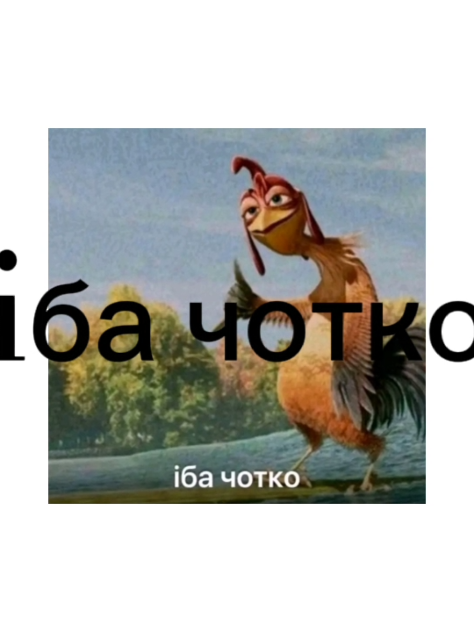 iба чотко #iбачотко 