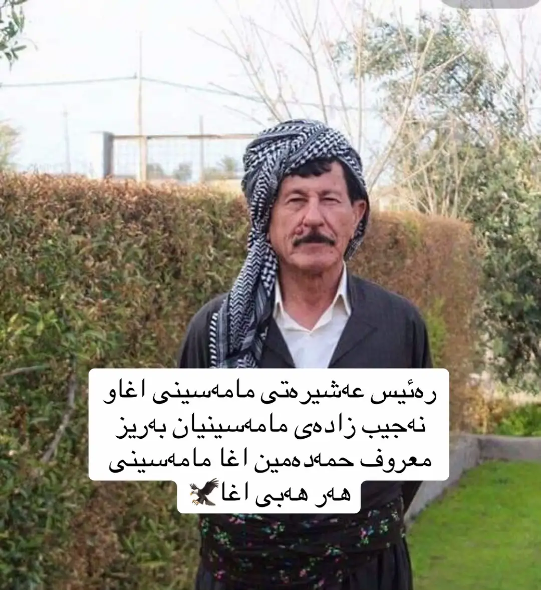#فرنسا🇨🇵_بلجيكا🇧🇪_المانيا🇩🇪_اسبانيا🇪🇸 #الشعب_الصيني_ماله_حل😂😂 #mamaseny #بارزانی_ناسنامەی_گەلی_کورد💛 #mamaseny 