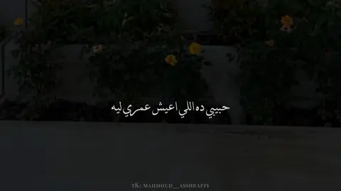 حبيبي ده❤️#foryou #no_music #اغاني_بدون_موسيقى #Love #عمرو_جابر 