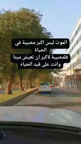 #الشعب_الصيني_ماله_حل😂😂 #كربلاء #لايك  #7 #مشهر_تيك_توك 
