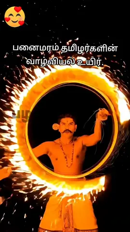 பனைமரம் ஏன் முக்கியம் தெரியுமா? பனைமரம் தமிழர்களின் வாழ்வியல் உயிர்.. #palmtrees #village #vivasayam #tamil #trending  