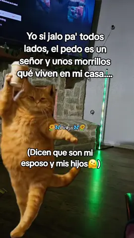 Así no se puede🤣 #jajaja #memes #humor #meme #foryou 
