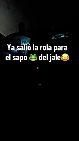 #tiktokautocampaign 