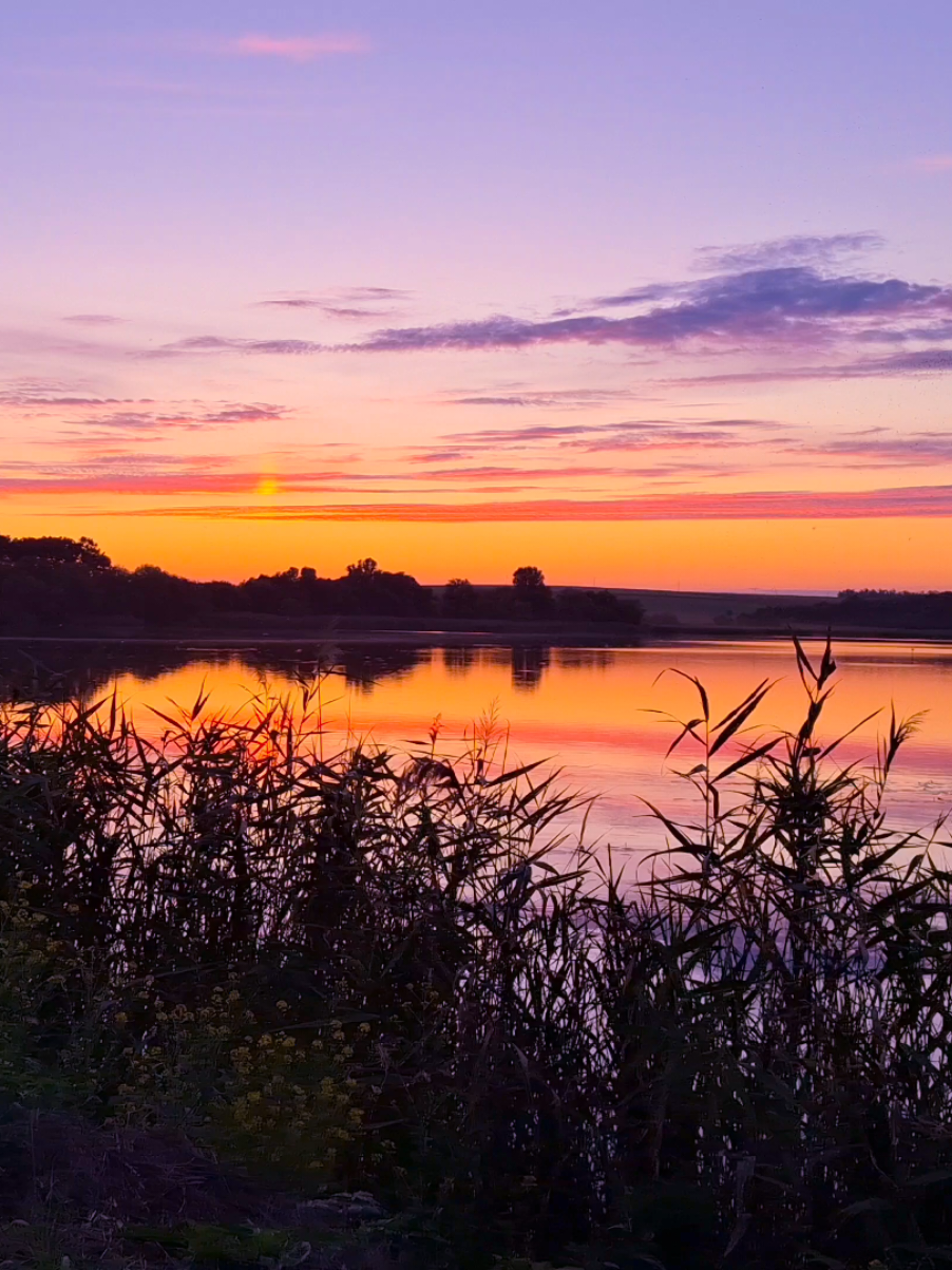 amazing summer sunset  #real #fypシ゚ #vibes #atmosphere #sunsetlover 