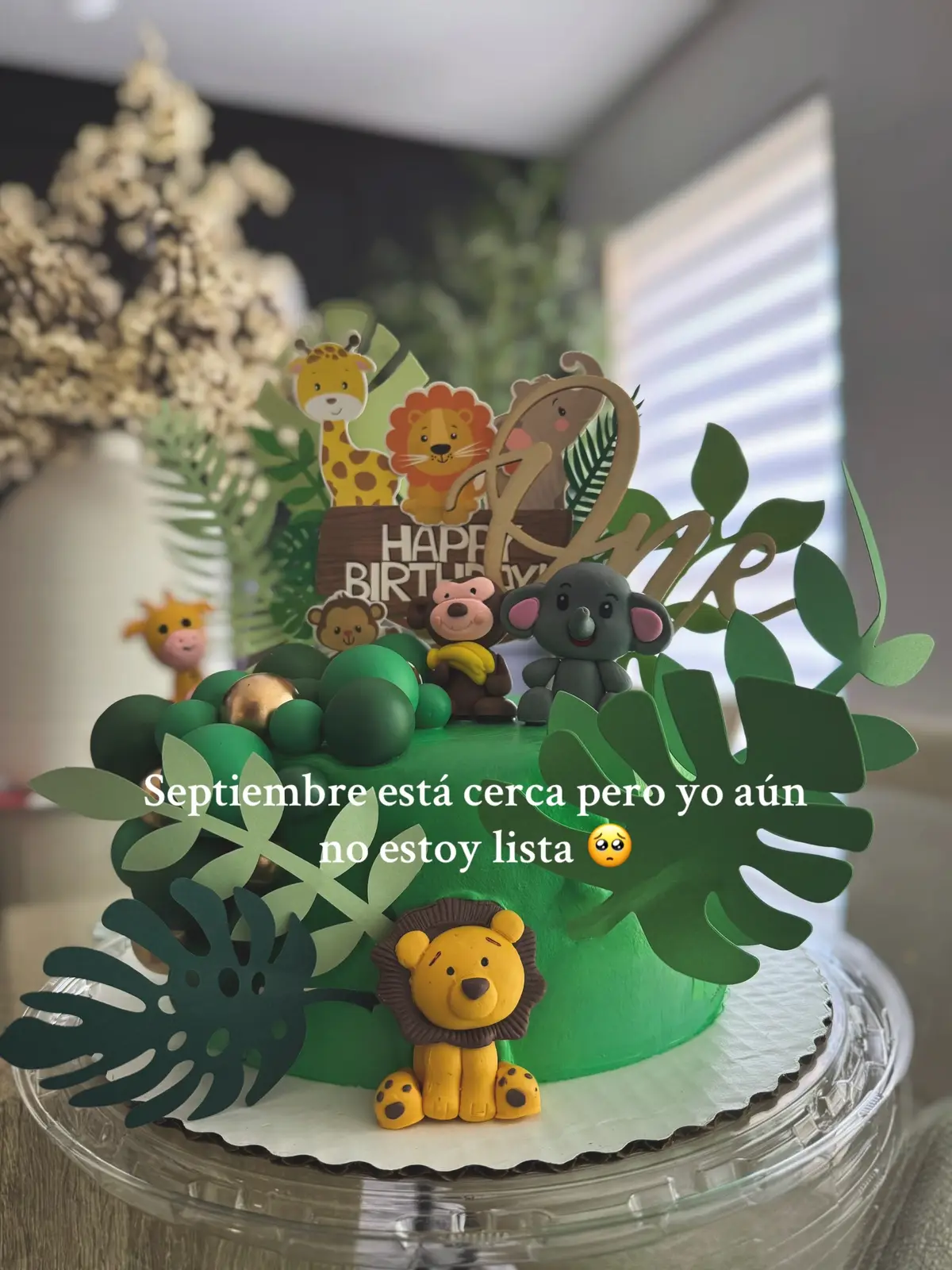 No estoy preparada aún para cerrar esta etapa 🥺❤️
