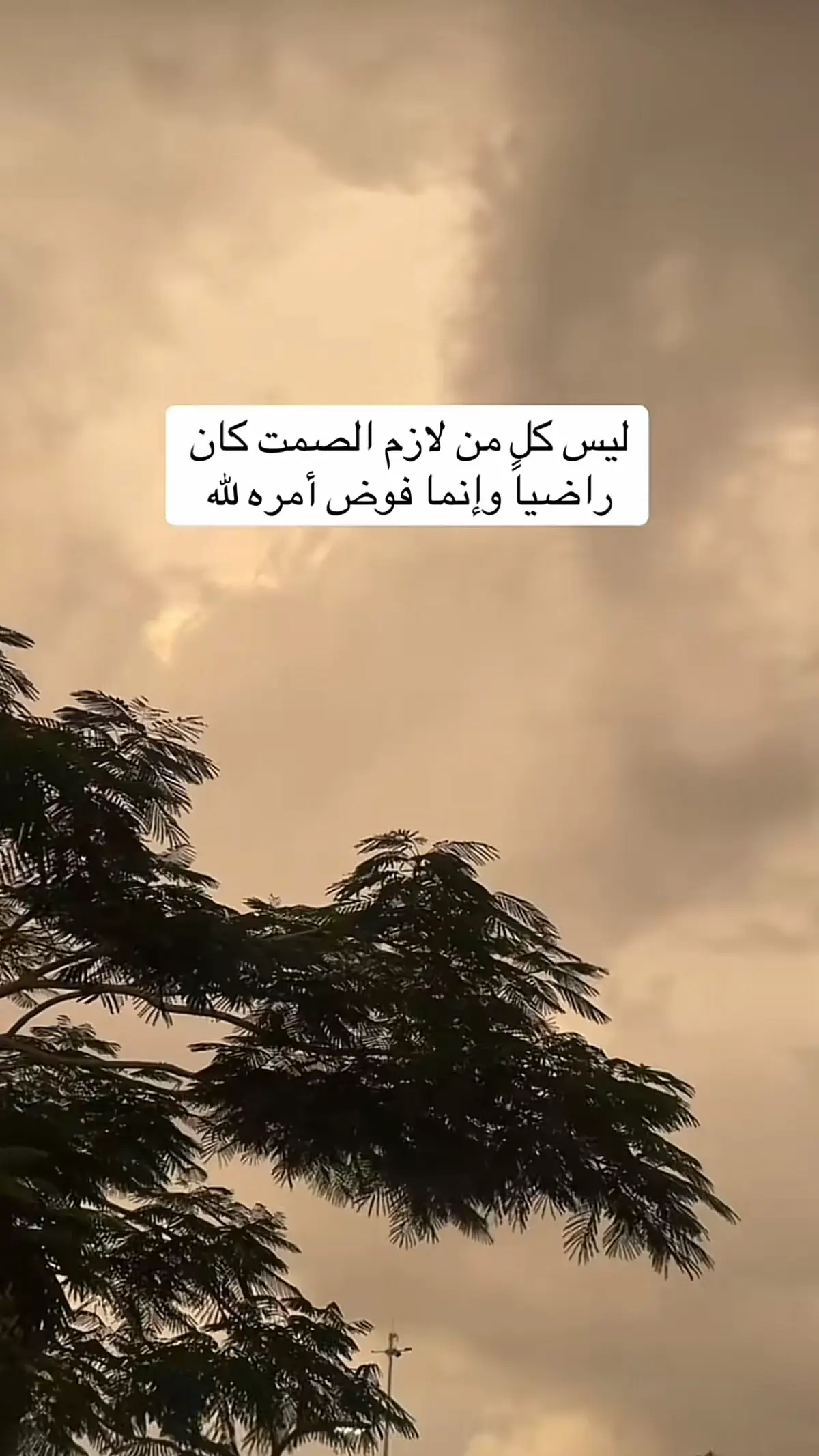 ##ترندات_تيك_توك_جديدةاكسبلوووور🤣 #