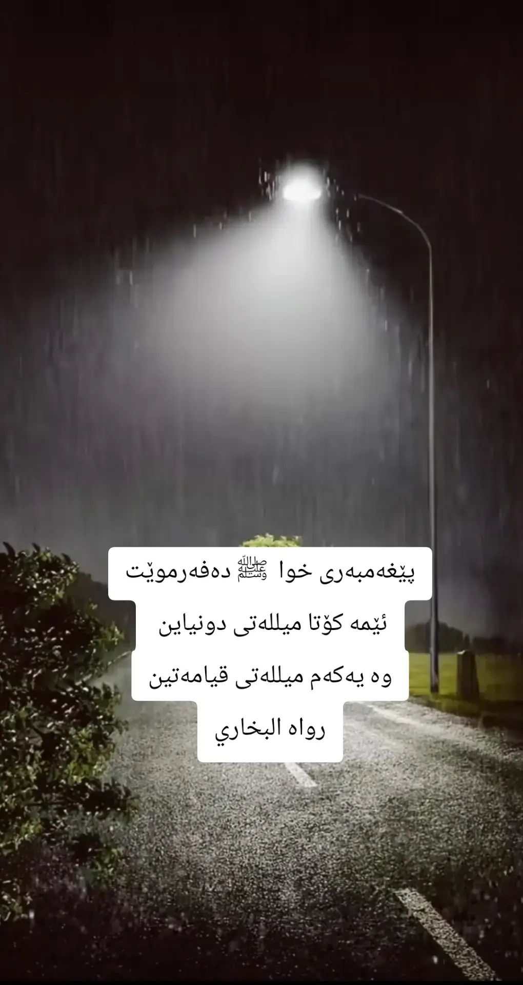 #سبحان_الله_وبحمده_سبحان_الله_العظيم  #اللهم_صل_وسلم_على_نبينا_محمد 