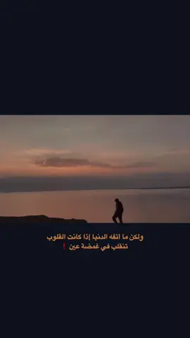 #محتوى #شعر_عراقي #حكم #امثال 