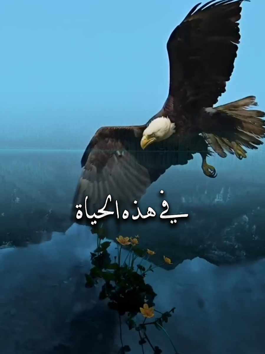 الخذلان #اقتباسات_عبارات_خواطر #اقتباسات_عبارات_خواطر🖤🦋❤️ #كلام_من_القلب #حكمة_أعجبتني #InspirationByWords 