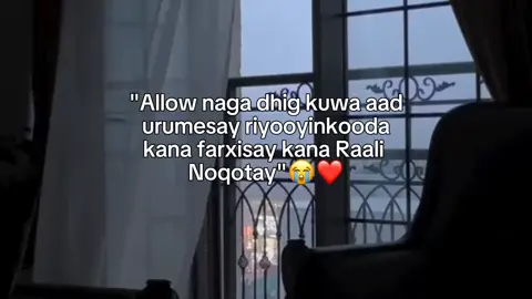 Streak ku kici😍 #somali_tiktok2021___😍  ...