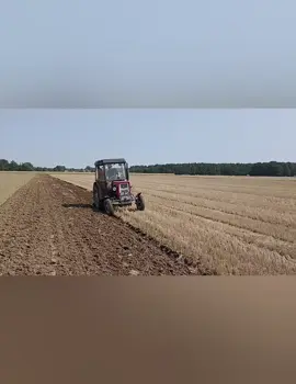 Jutro na Yt Podsumowanie wakacji @Agro-Rolnikt25 @Agro_Team_Kujawy0 @AGRO_TEAM_MAZOWSZE @traktorzysta_z_wladkat25a2 @🌽🚜MaksMF🚜🌽 @MR_AGROOfficialyt @Kuba @Kamil Nowakowski @Stachu @Jan_Papai_tu@🚨Agro_Paula🚨 