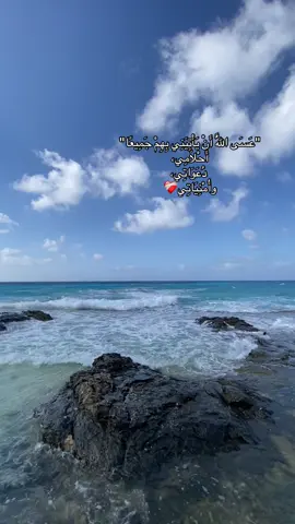 #قران_كريم 